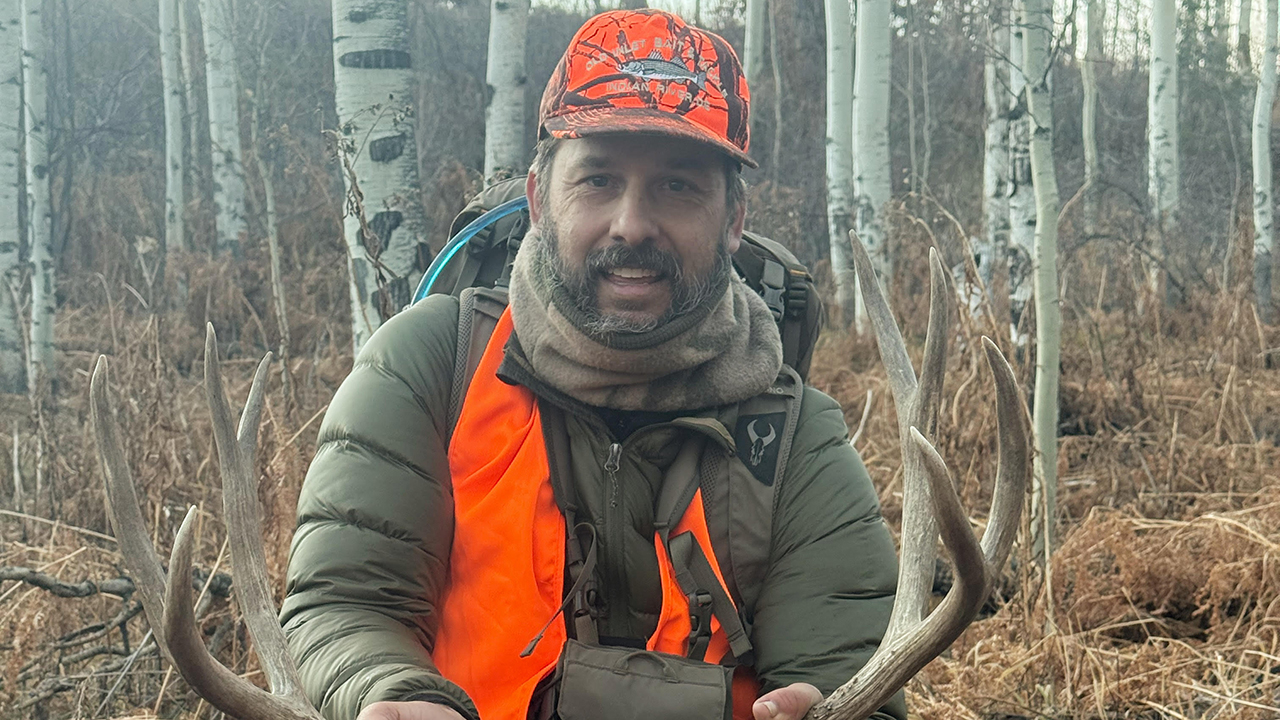 Hunter’s Path: Elk and Mule Deer Hunt Colorado
